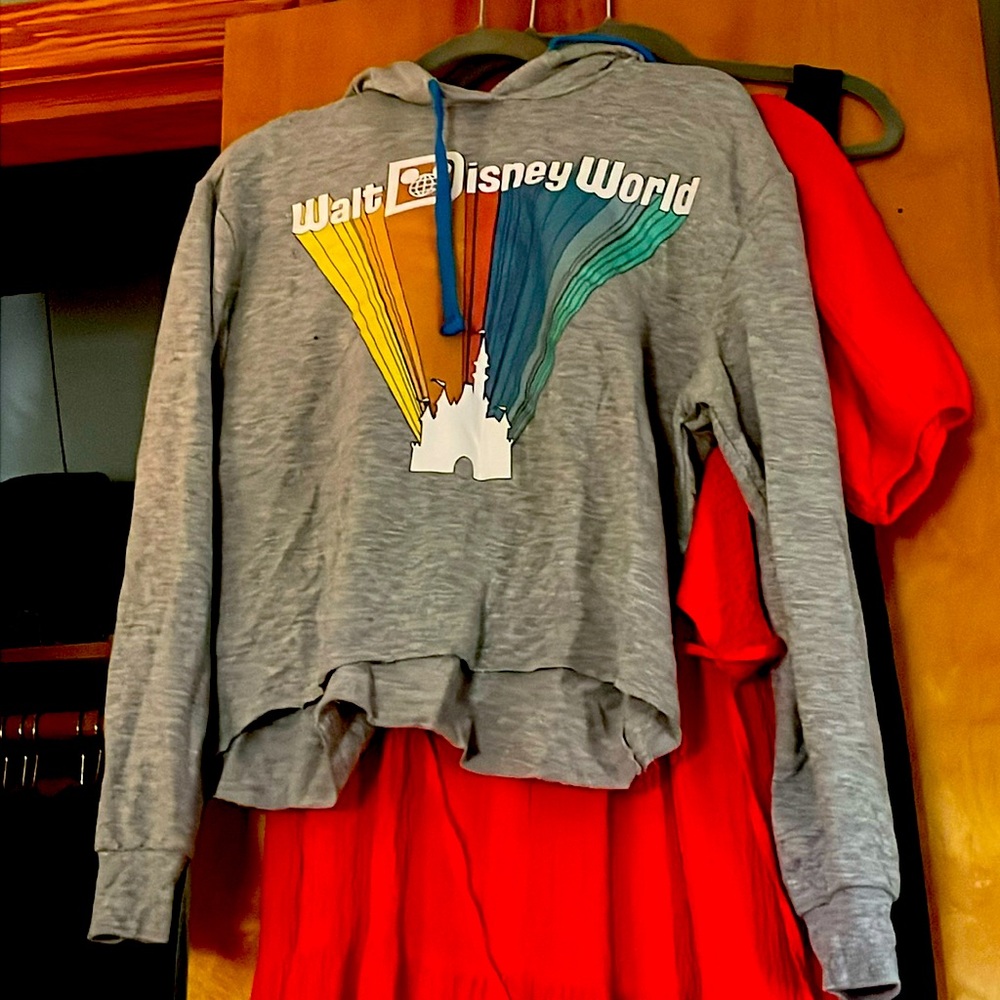 Fall 2021 Disney World cropped shirt / sweatshirt. Super soft. Like new.